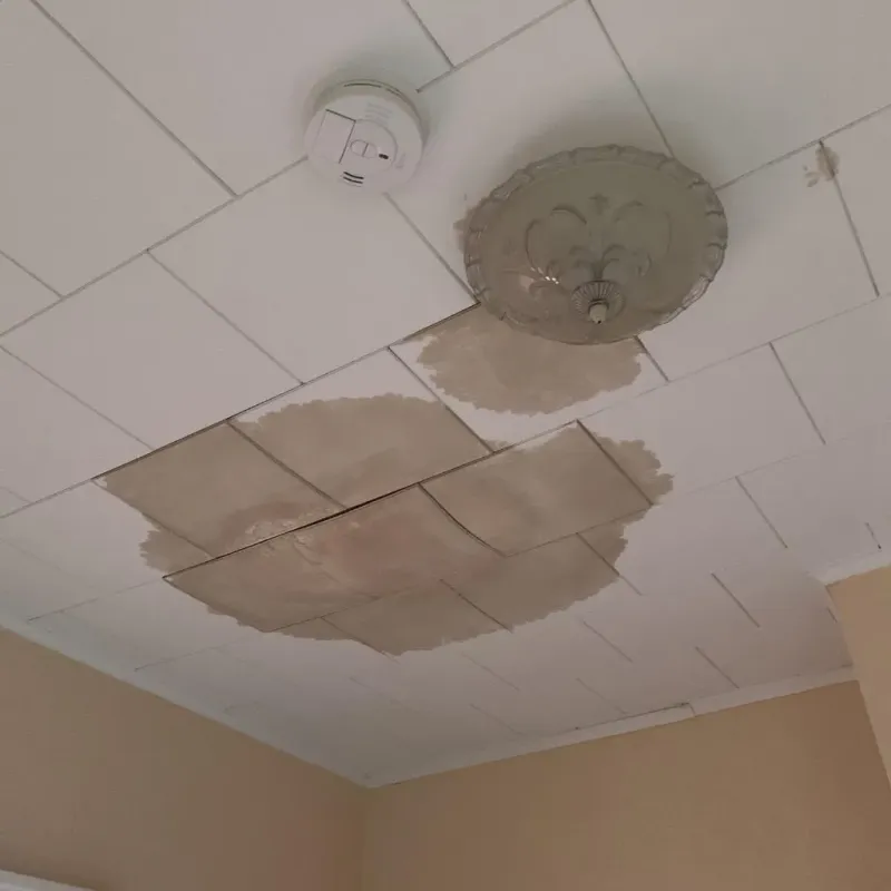 Ceiling Water Damage Repair in Wellston, MO