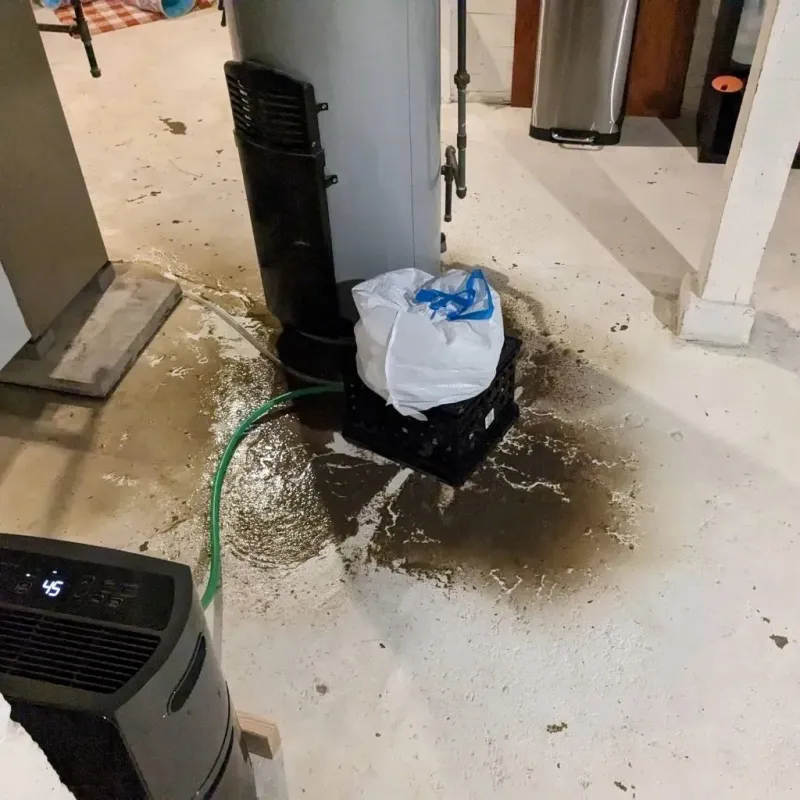 Sewage Backup Cleanup Service in Wellston, MO